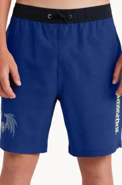 Boardshorts^Billabong Boys Afterlife Layback Boardshort Royal