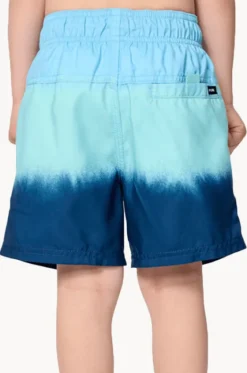 Boardshorts^Rip Curl Boys Dip Volley Boardshort Blue/Navy