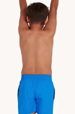 Boardshorts^Speedo Boys Essential Watershort Blue