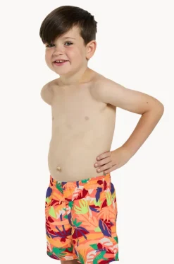 Boardshorts^Zoggs Boys Haku Watershort Multi