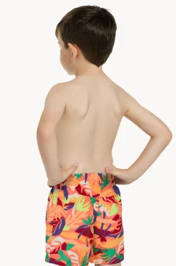 Boardshorts^Zoggs Boys Haku Watershort Multi