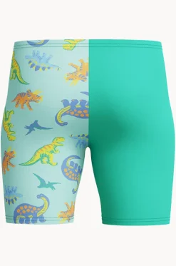 Jammers^Speedo Boys Print Jammer Teal