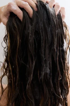 Travel|Home & Body^Al.ive Body Hydrate Hair & Body Trio