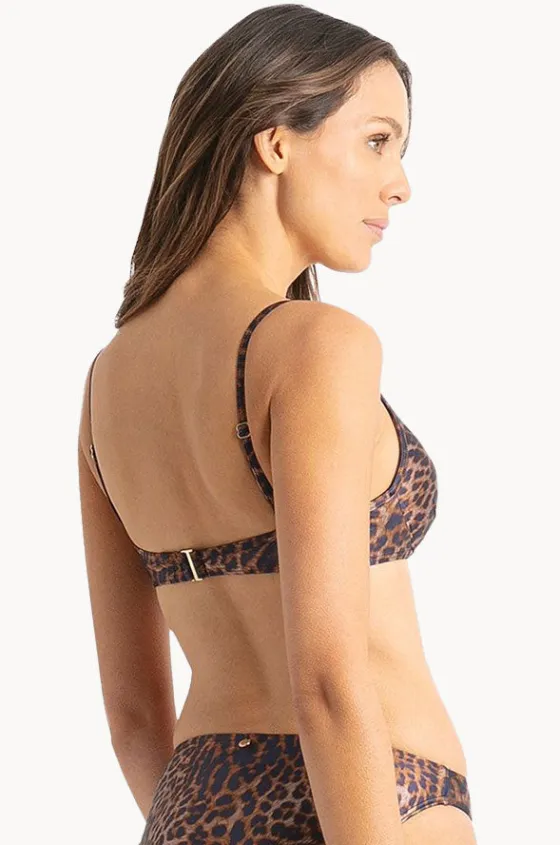 Bikini Tops^Sunseeker Lioness Moulded Push Up Bra Animal