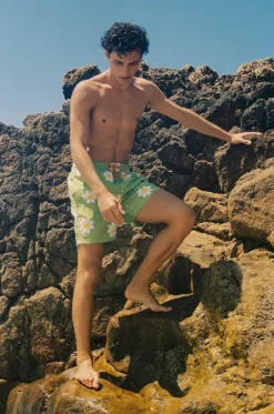 Boardshorts^Coast Mens Daisy Classic Boardshort Lime