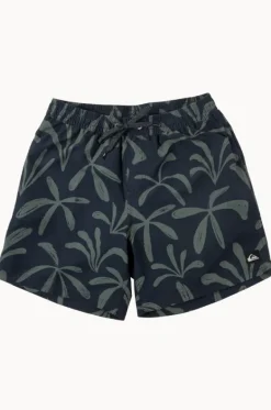 Boardshorts^Quiksilver Mens Everyday Mix 17" Volley Boarshort Black/grey